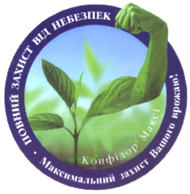 m200604949
