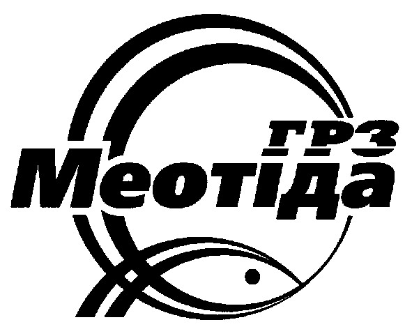 m200701479