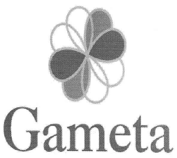 gameta