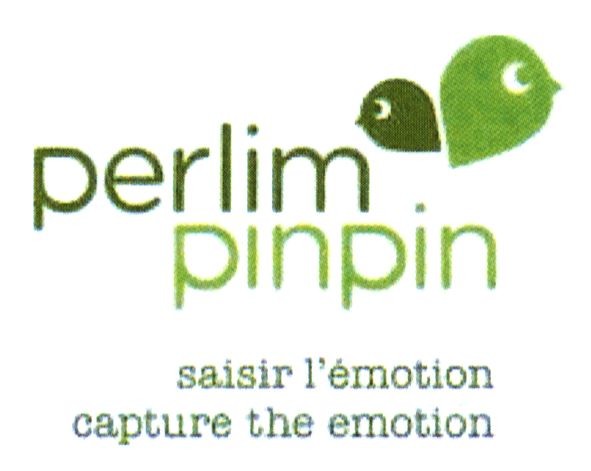 saisir l`emotion capture the emotion