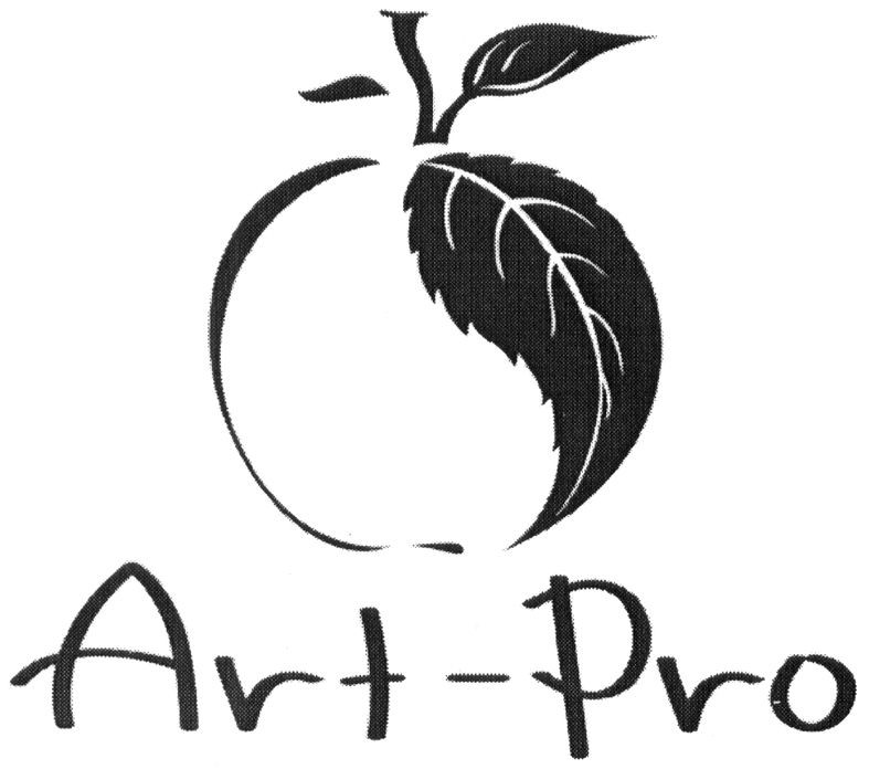 art-pro