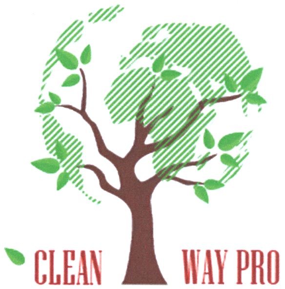 clean way pro