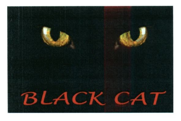 black cat