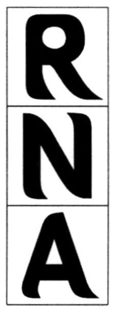 m201913394