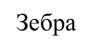 зебра