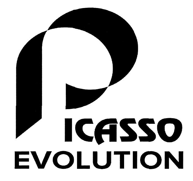 picasso evolution