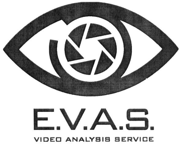 video analysis service