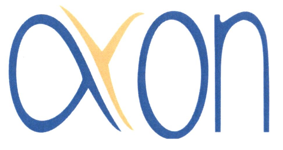 axon