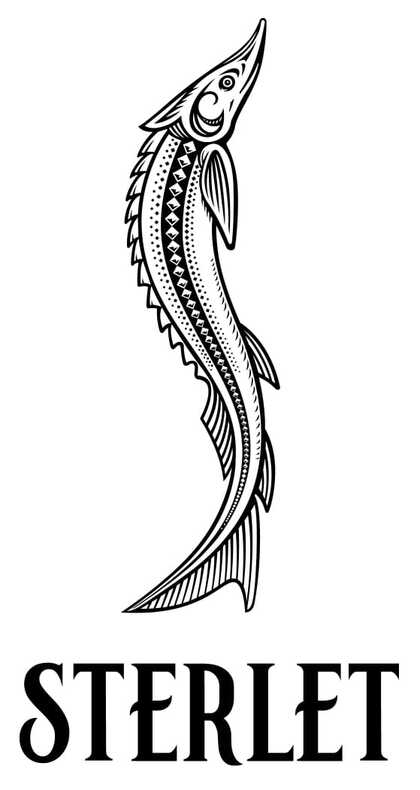 m202317281