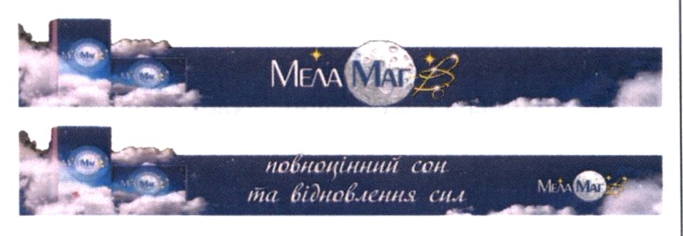 m202403931