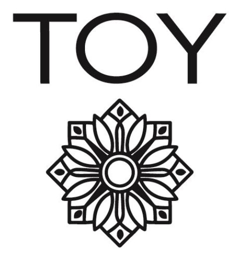 toy